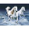 Diamant Kunstmaleri Dyre Katt Bilder Av Rhinestones Diamantbroderi Salg Hest Full Mosaikk Dekor For Hjem