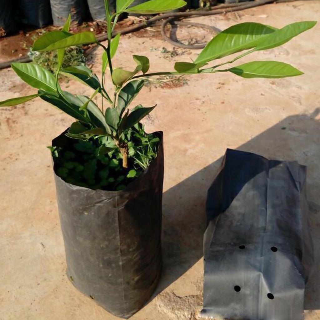 20pcs Thickened Plant Pe Seedling Bag Seedling Bag Green Garden With Ventilation Holes Fruit Tree Plant Bonsai Planting Bag