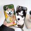 LO53 Husky Puppy Dog Soft Shell Phone Case for iPhone SE X XS XR 11 16E 17 Pro Max Air 8 7 6 6s Plus
