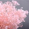 Preserved Gypsophila Dreamy Star Bouquet - Dried Flower Arrangement for Home Decor and Valentine's Day Gift