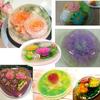 14 Stil 3D Gelatine Kuchenform Gelee Kunst Pudding Blumen Edelstahl Düse Spritze Nadel Set Kuchen Dekorationswerkzeuge
