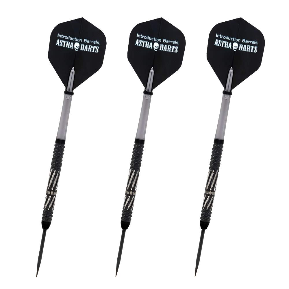 DYNASTY ASTRA DARTS DRAGOON3 Dragoon 3 STEEL Ryuki Morikubo player model dart barrel dart set