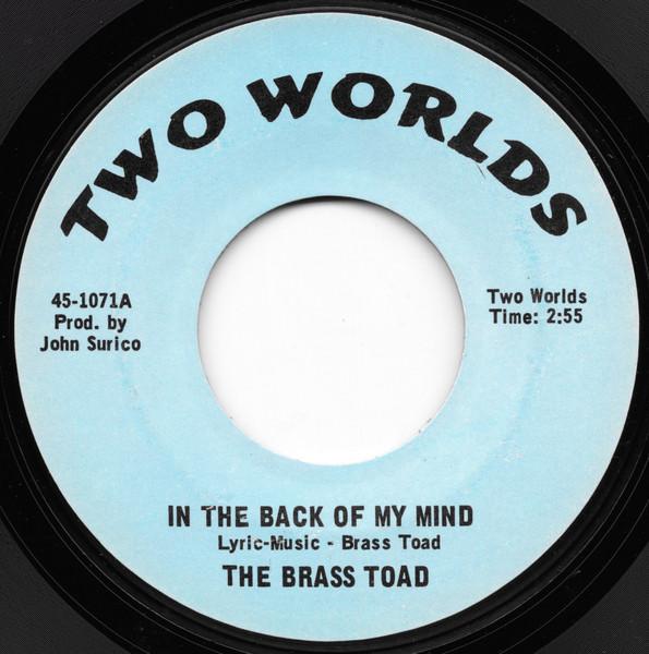 

7inch Record BRASS TOAD - In The Back Of My Mind 451071 Two Worlds 1969 US Rock Used