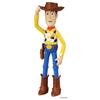 TAKARA TOMY Toy Story 30th Anniversary Diecast Collection Woody