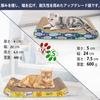 Blueekin Cat Cat High Cat Space Prevents Furniture Improves Lack of Relieves Can Be Used On Both Cat Toy Scratcher, Scratcher, Cardboard, Density,