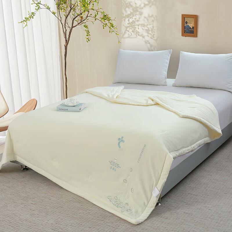 Grace Lanxi Double-Layer Foam Summer Quilt