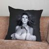 Singer C-Celine D-Dion Pillow Case For Home Bedroom Car Office Decoration Living Room Sofa Cushion Cover Suitable