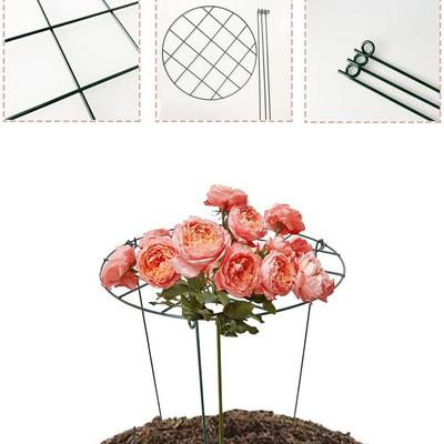 Plant Support Stakes Peony Cages Rings 4pcs Metal Frame Flower Rings Upright Flower Protection Gardening Supplies for Indoor
