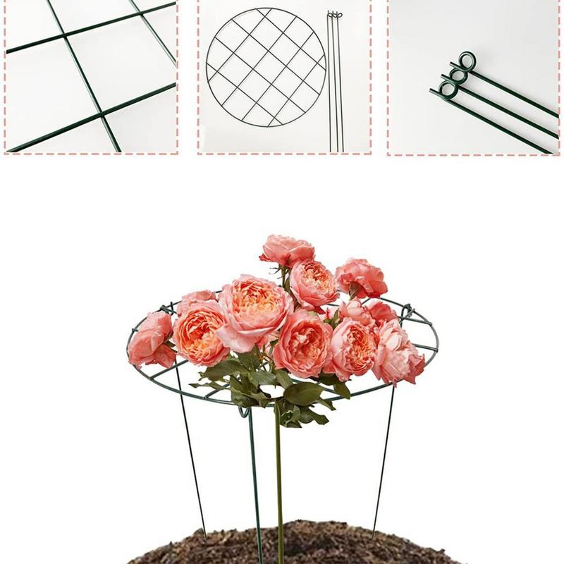 Plant Support Stakes Peony Cages Rings 4pcs Metal Frame Flower Rings Upright Flower Protection Gardening Supplies for indoor
