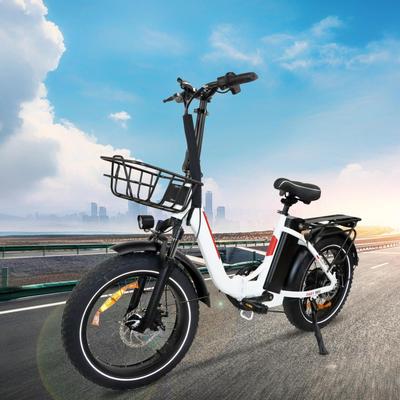 DZ2030 E-kolo 800W Motor 48V16AH Vyjímatelná Baterie Elektrické Kolo pro Rozvoz Jídla 20*4.0 Tlusté Pneumatiky Elektrické Kolo pro Rozvoz pro Dospělé