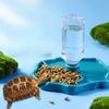 1 ud. - Comedero para Reptiles, Plato de Comida para Tortugas, Bol Pequeño para Mascotas Pequeñas, Reptiles y Anfibios, Extraíble, Fácil de Limpiar, Suministros para Mascotas Pequeñas