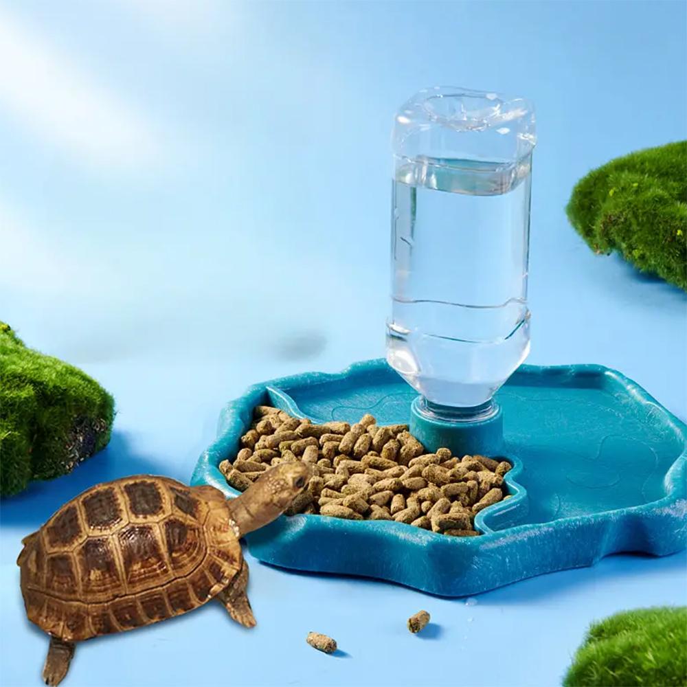 1 ud. - Comedero para Reptiles, Plato de Comida para Tortugas, Bol Pequeño para Mascotas Pequeñas, Reptiles y Anfibios, Extraíble, Fácil de Limpiar, Suministros para Mascotas Pequeñas