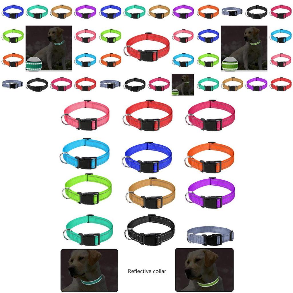 Reflective Neoprene Adjustable Padded Nylon Dog Collar In 12 Colors And 5 Sizes Suitable For All Dog Breeds