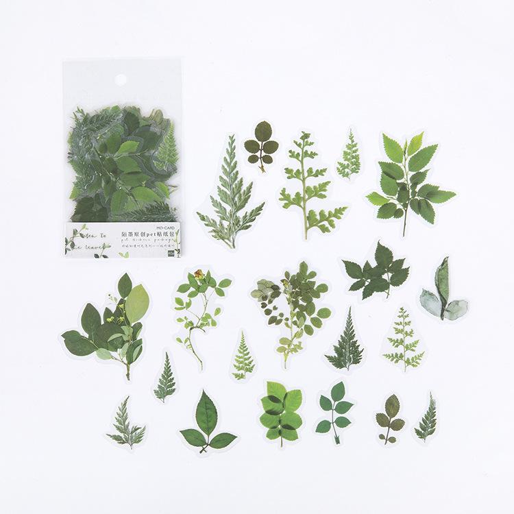 Kawai Stationery PET Sticker Pack Jennys Time Series Plant Creative Handbook Material DIY Decorative Stickers 8 Types Lovely