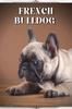 Kniha French Bulldog : Dog Breed Guide