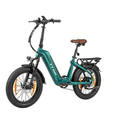 TTGO F8 City Hight-End Electric Bicycle 48V18Ah Battery 20 Inch Fat Tires 250W Motor 25 Km/h Speed 150KG Load E-Bike With TowSeat
