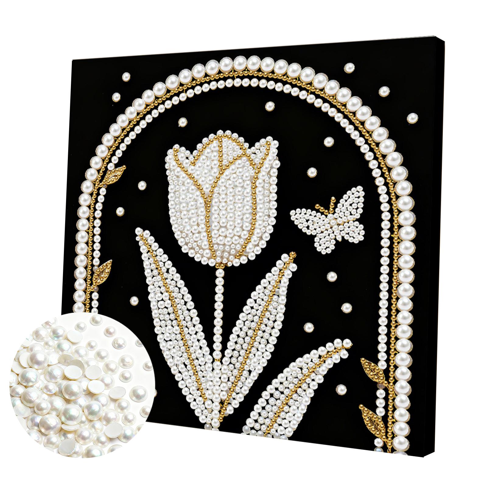 

DIY Pearl Gem Art Diamond Painting Kits for Adults Home Decor Art Diamond Painting 25x25cm With Frame