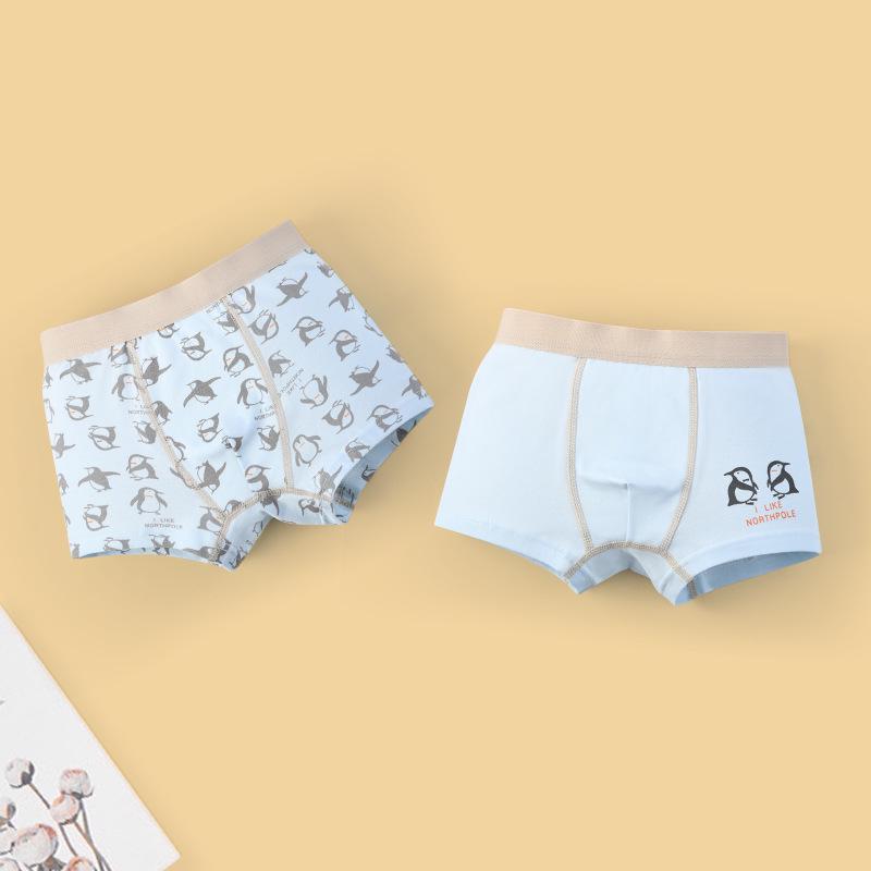 Antibacterial Cotton Boxer Briefs for Boys: Ages 10A+ - Toddler to Teen