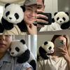 Multi-function Panda Hugmotion You Plushtoy Emotional Support Panda That Hugs You Back Panda