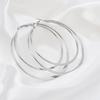 Earrings 2019 European and American new metal exaggerated earrings, geometric large circle double-layer earrings