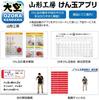 Yamagata Kobo Competition Kendama "Ozora" (Japan Kendama Association Certified) Premium Gunmetal
