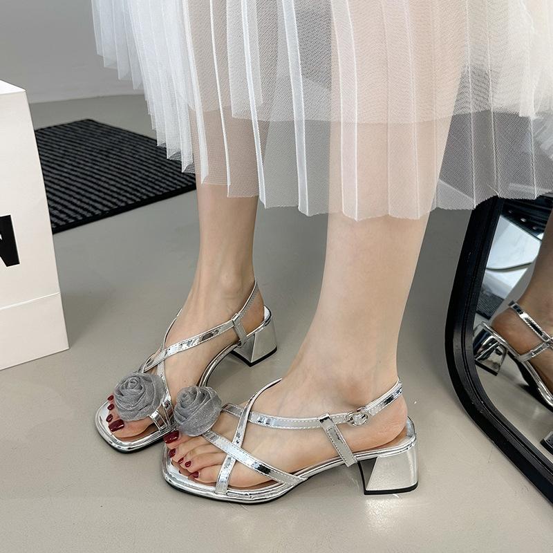 French beautiful open-toed sandals women's summer wear 2025 new silver thick heel set toe cool slippers fashion Roman shoes