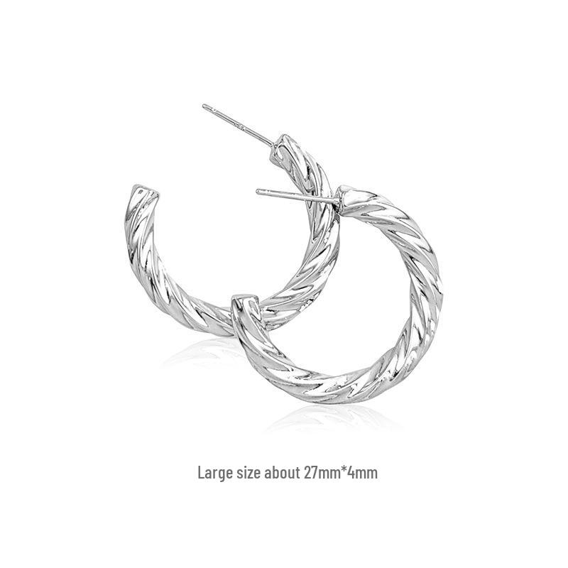 S925 Sterling Silver Twisted Hoop Earrings for Women - Fashionable Retro Design with a Niche High-End Appeal