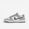 Dunk Low SE Light Carbon