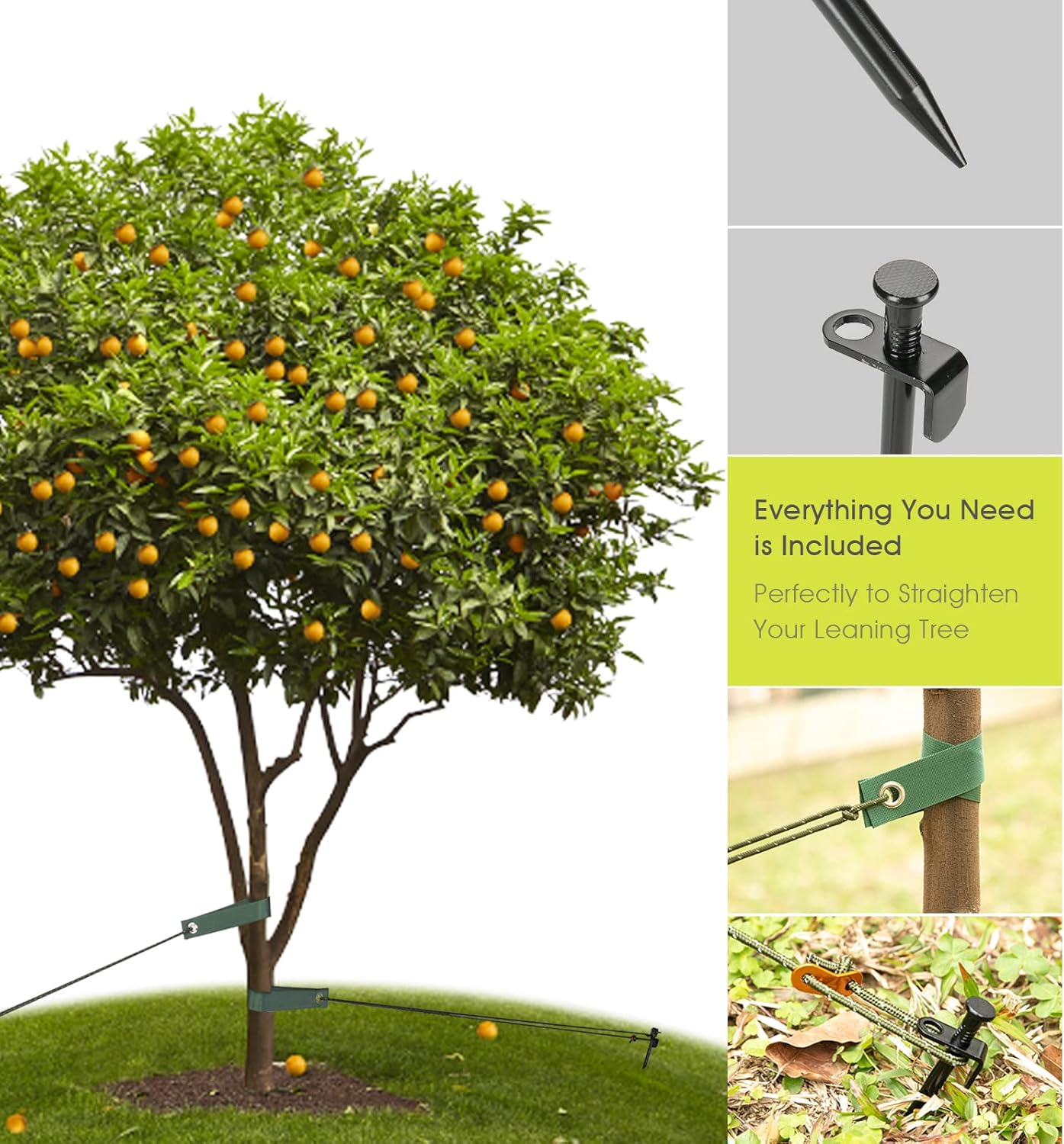 

Stake Kits, 11.8 Inch Steel Tree Stakes and Supports for Young Tree Anti Strong Wind, Leaning Tree Anchor United States