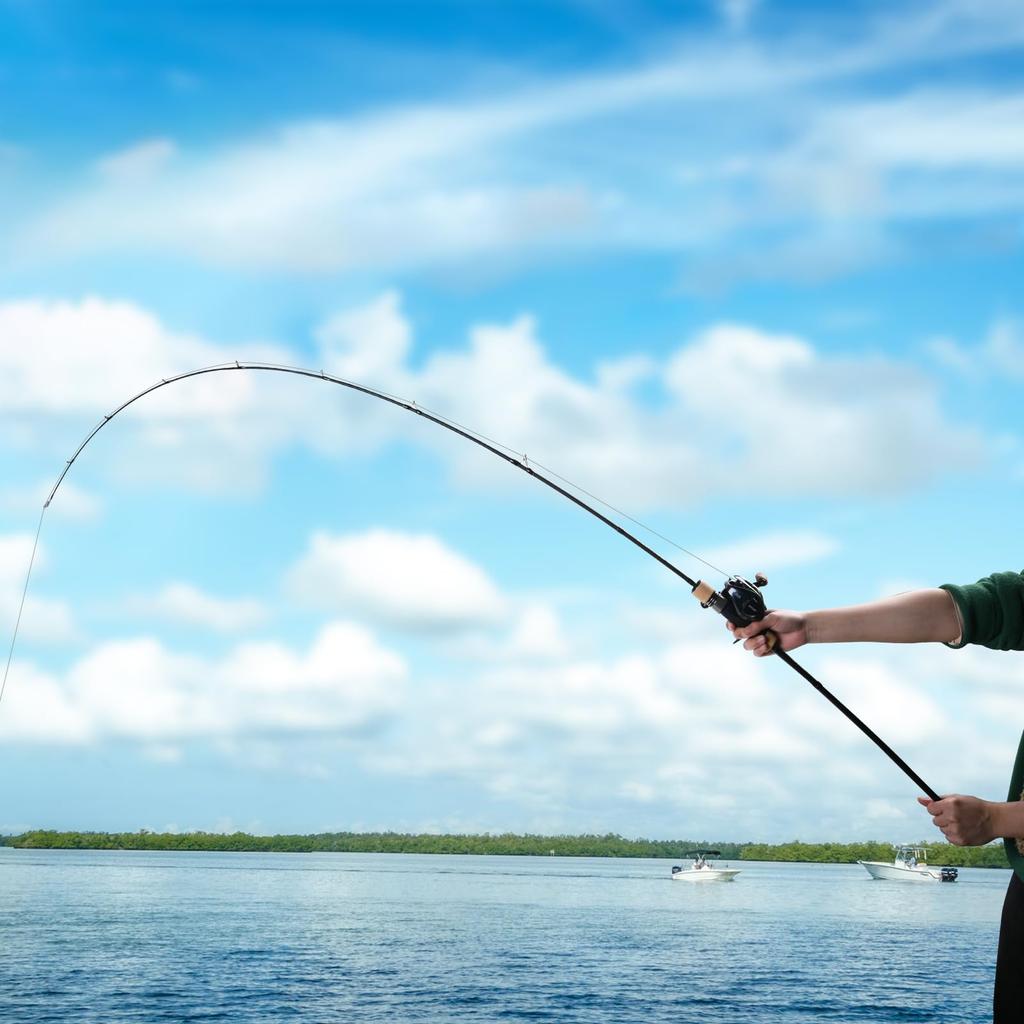 Goture POLLUX Slow Jigging Rod with Detachable Grip Jigging Rod Solid Top Sea Fishing Bait 632MLC 1.89M/6.3ft