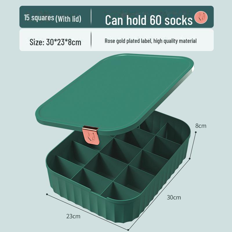 Compartmentalized Underwear Storage Box with Cover