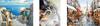 Paint It! Owls 40x50 Painting By Numbers