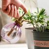 1Day Ship 350ML Plant Flower Watering Pot Spray Bottle Sprayer Planting Succulents Kettle for Garden Small Garden Tools Supplies