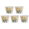 Set of 5 225cc Hasami Ware Made In Wildflower Yellow 439093 J-kitchens Teacups, Japan, /