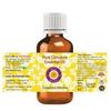 Deve Herbes Citriodora Essential Oil (Eucalyptus Citriodora) Pure | Non-Sticky | Non-greasy | Lightweight | Men & Women | All Skin Types | Steam