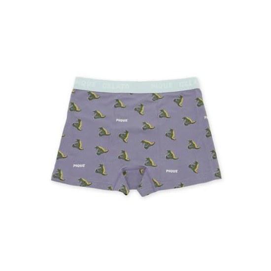 Gelato Pique HOMME Sleeping Dinosaur Pattern Underwear Box PMCP262923 Mens