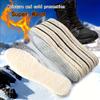 Unisex Adult  Warm Sheep Cake Velvet Insole, Moisture-Proof And Cold-Proof, Breathable Double-Sided Winter Foot Protection, Warm Insoles