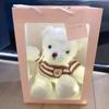 Flash Teddy Bear Plush Toy with Light Bear Doll Gift Box Ragdoll Bear Doll for Girl Birthday Gift