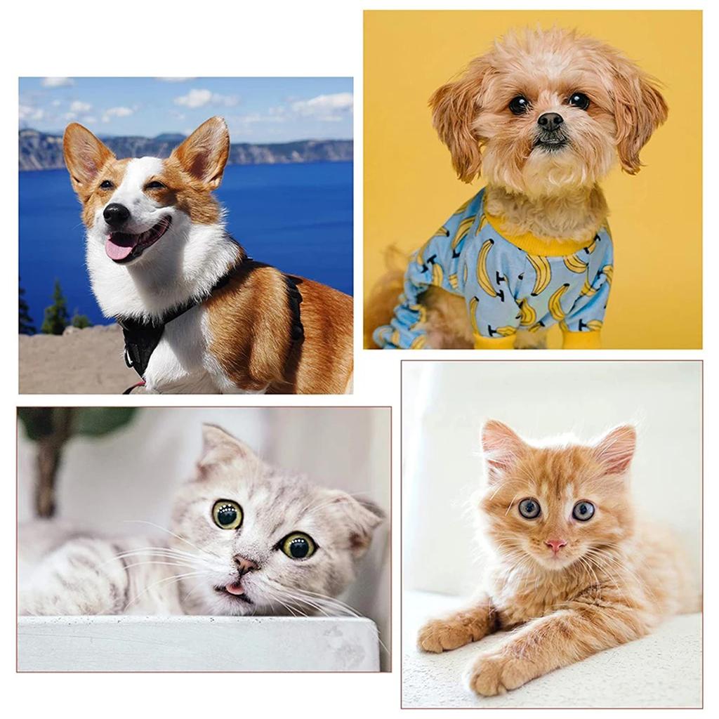 Tear Stain Remover Comb Pet Eye Comb DoubleSided Dog Eye Brush