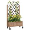 Wooden Planter, with Metal Trellis - Brown/Black