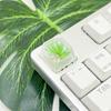 Resin Keycap Feature Pine Blossom Flower for Mechanical Keyboard Keycap Replacement Elegent ESC Keycap