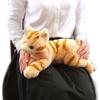 SunleMon M Knee Cat Plush Brown P 1812 M