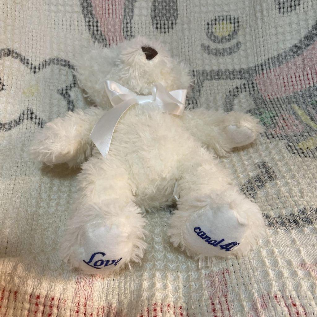 [USED] Used Canal 4℃ Teddy Bear Plush Toy with Music Box