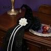 Accessori