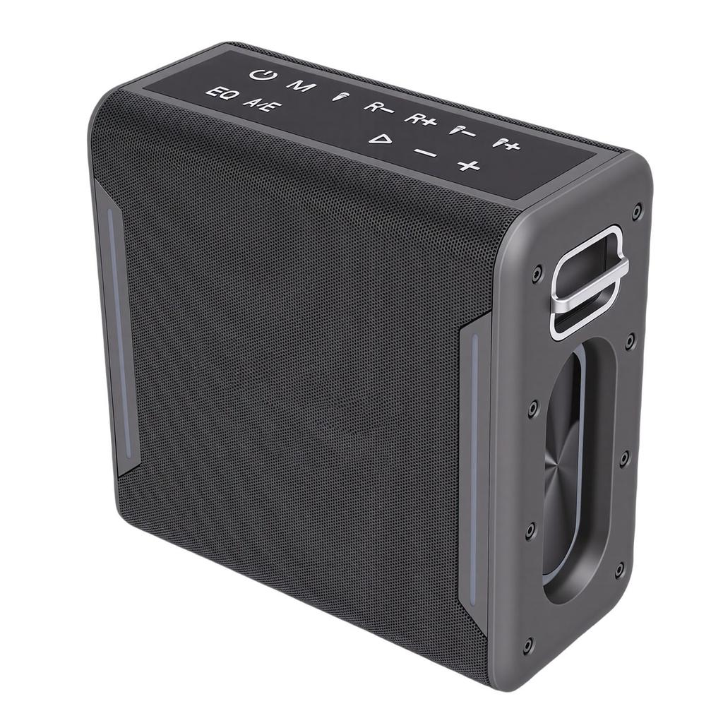 Karaoke-Maschine mit 2 kabellosen Mikrofonen für Erwachsene und Kinder, tragbarer Bluetooth-Lautsprecher mit LED-Lichtern, wasserdicht für