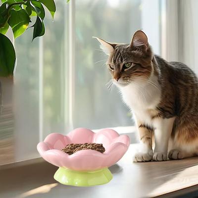 Ceramic Elevated Pet Feeder Dish for Small And Medium Dogs Kittens