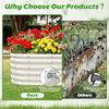 17 Tall Outdoor Garden Raised Bed Kit 5ft X 2ft Oval Cream White Metal Planter for Flowers Herbs Vegetables 0.8MM Thick 60X24X1