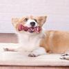 Cães – Brinquedos para cães