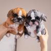 1Pcs Stuffed Doggy Cute Fluffy Plush Pet Room Decor Realistic Sitting Poodle Pug Puppy Plush Toys Children Birthday Gift