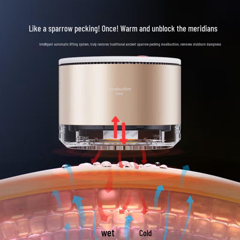 Breo Ginger Bamboo A2pro Moxibustion Device